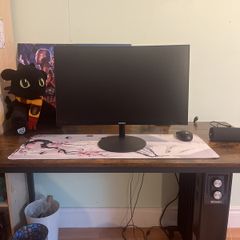 monitor