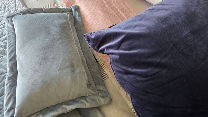 Paul Costelloe cushions and throw