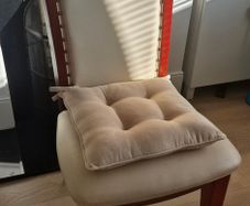 Dining Chairs x 2