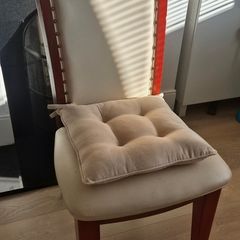 Dining Chairs x 2