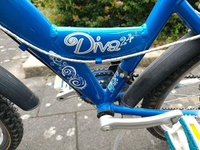 Raleigh Diva 24 girls bike