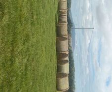 Hay for sale