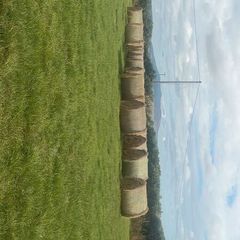 Hay for sale