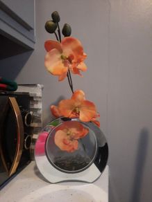 orange orchids in mirror glass vase