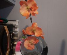 orange orchids in mirror glass vase