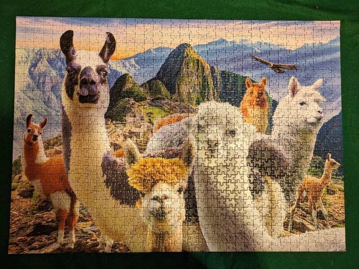 1000 pieces jigsaw puzzle
