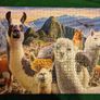 1000 pieces jigsaw puzzle Image 3