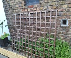 trellis
