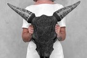 Authentic lage Indonesian carved bull skull