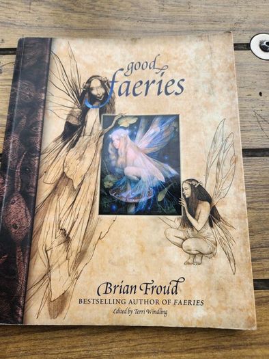 Good Faeries Bad Faeries. By Brian Froud. Edited By  Terri Windling. First Edition Large Volume Paperback In Very Good Condition.