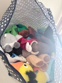 teddies