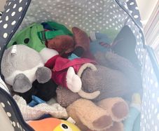 teddies