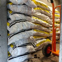 Smokeless Coal