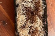 Hamper Basket with Filler