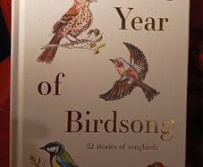 A Year of Birdsong / 52 stories of songbirds/ illustrated/ Dominic Couzens & Madeleine Floyd/1st edition/ 2022