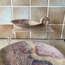 African Soapstone Hand carved 10.5" Bowl & 7.5" long Swan shaped soapstone Image 2