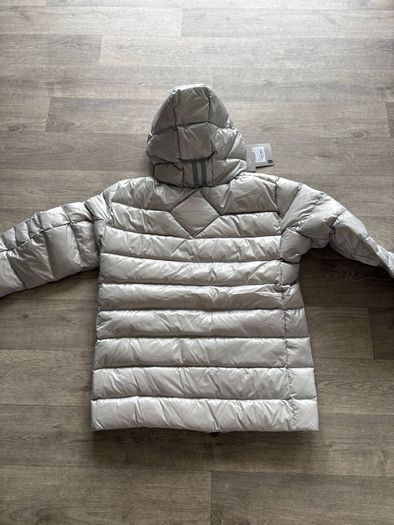 canada goose