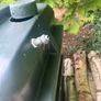 Oil tank Image 4