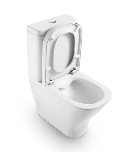 Roca Toilet