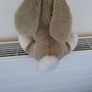 keels Toys Baby Adoptables Bunny Rabbit Image 3