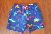 Swimming Trunks 4-5 years