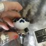 2 blue and white ceramic knobs Image 2