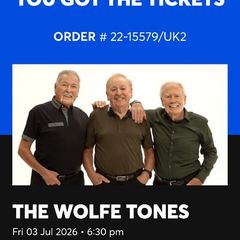 Wolfe Tones Dublin Friday 03/07