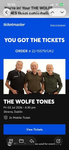 Wolfe Tones Dublin Friday 03/07