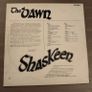 The Dawn - Shaskeen Image 2