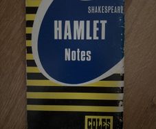 Hamlet Coles Notes leaving cert