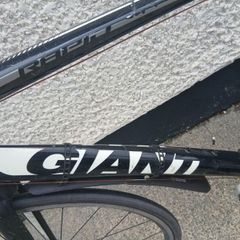 Adults Bike