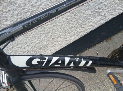 Adults Bike