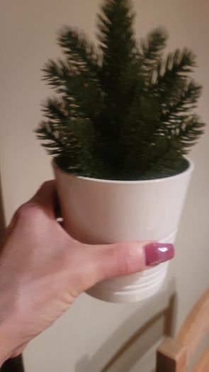 Artificial Plants in Matching Ceramic Plant Pots x3