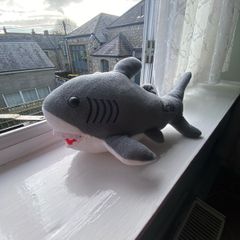 Toy shark