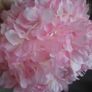 pink flower light shade Image 3