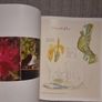 18 Greatest Irish Golf Holes .Limited Edition. No 294 of 5000. Published 2011(Hardcover) Image 9