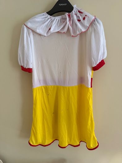 Girls Fancy Dress costume Age 10-11 years