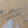 Surfboard Shels 6ft3 Image 2