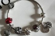 Pandora silver charm bracelet - Genuine