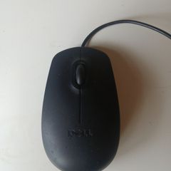 Mouse