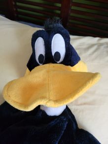 Daffy Duck Pyjama Case