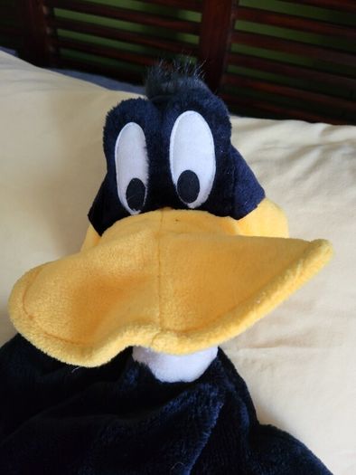 Daffy Duck Pyjama Case