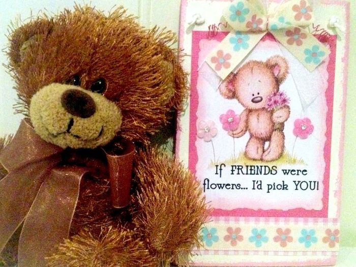If Friends were Flowers Handmade Irish Sign