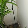 lamp Image 4