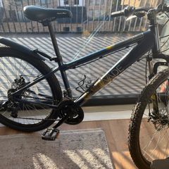 Apollo adults bike