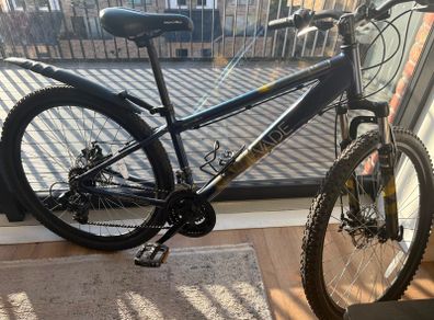Apollo adults bike