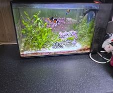 fluval nano marine marcoalgie tank