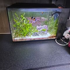 fluval nano marine marcoalgie tank
