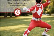 Morphsuits men's adults Power Rangers costume