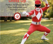 Morphsuits men's adults Power Rangers costume